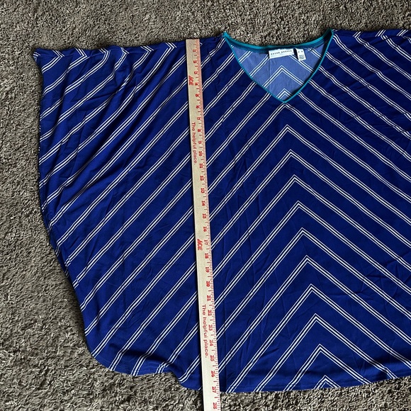 NWOT SUSAN GRAVER Blue White Stripe Top V-Neck Dolman Batwing Sleeve XL Oversize - Picture 6 of 7